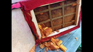 Новая жизнь старого кресла