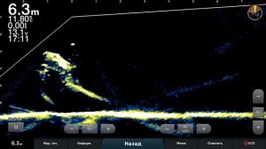 Вот я их и покормил    Garmin LiveScope