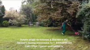 Услуги ухода за газоном в Москве и области. Заказать выезд садовников по т. 84956695223