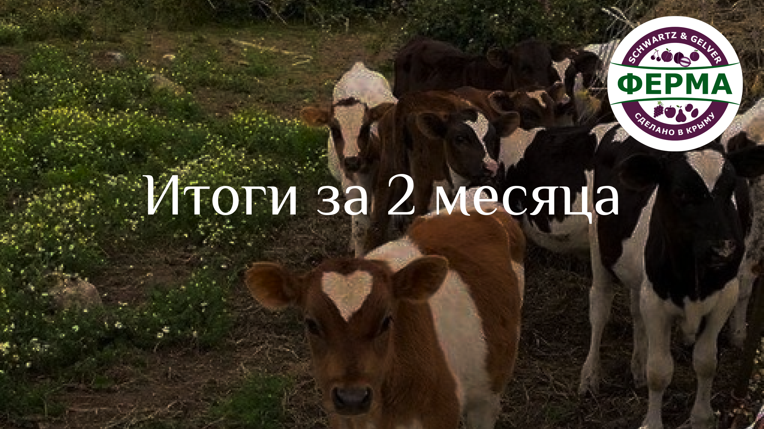 Итоги за 2 МЕСЯЦА – что мы СДЕЛАЛИ и ОФОРМИЛИ по ФЕРМЕ?