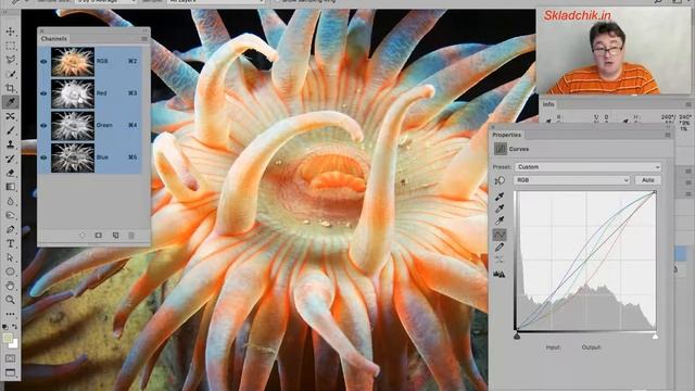 Тема 2 Curves Поканальная работа с кривыми смотреть онлайн