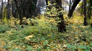 Усадьба графа Келлера Сенницы, Озёрский район