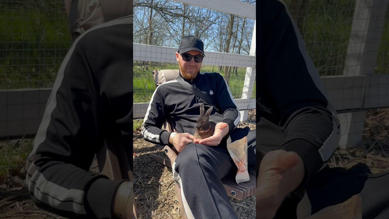 Зайчики смотреть онлайн