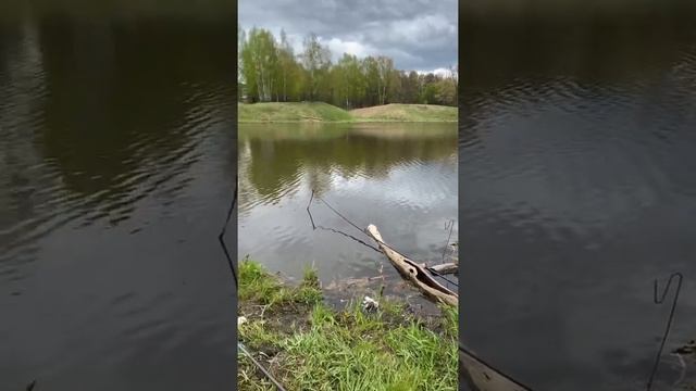 Рыбалка на карася в небольшом озере. Сергиев Посад.