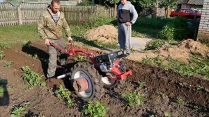 Неудачное окучивание картофеля после дождей (день 1)