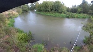 РЫБАЛКА НА ДЖЕРКИ  HARD BAITS. Ловля на джеркбейты Hard Baits Jolly Dancer и Drops. BFT Lizzard X.