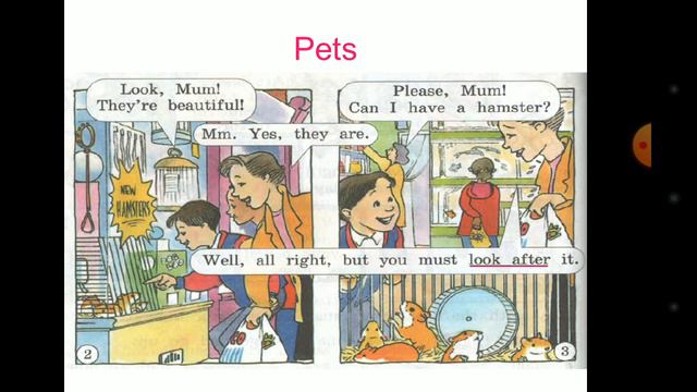 Pets Must смотреть онлайн