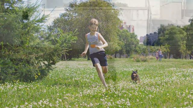 лето в спб смотреть онлайн