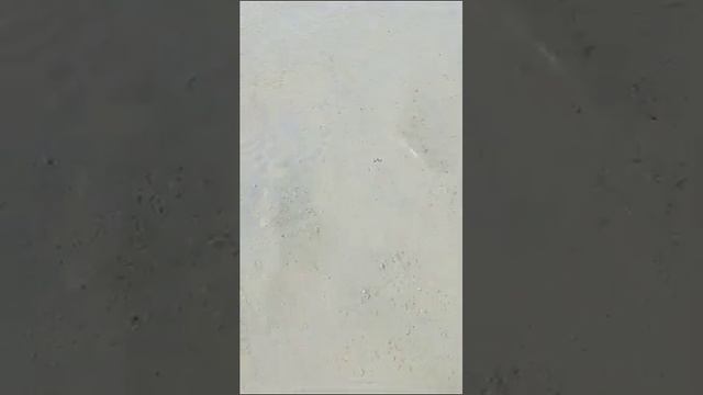 Батя на рыбалке, озеро Калды!!! смотреть онлайн