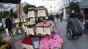 Дания, Копенгаген. Цветочный рынок.