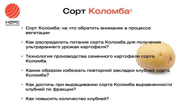 Технология возделывания сортов картофеля селекции HZPC