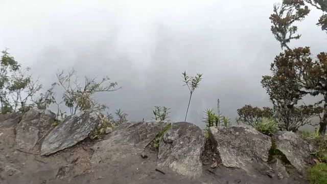 День 13. Мачу-Пикчу, Перу / Day 13. Machu Picchu, Perú смотреть онлайн