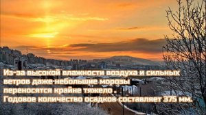 Родной край Мурманская область и город Полярный