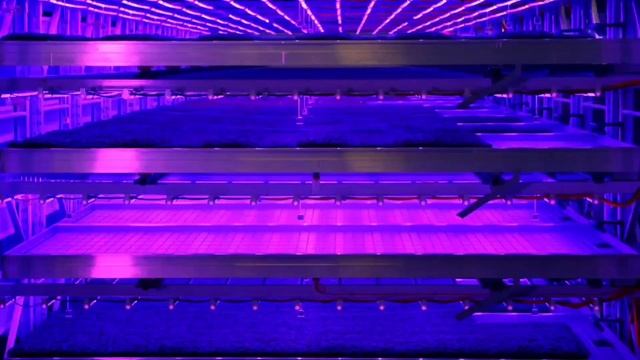 Farms of the future, VERTICAL farming without soil, High Tech E-Farm