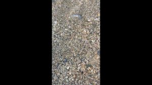 Бюджетные отели Турция Алания Saritas hotel 4*  - полный обзор отеля 2022