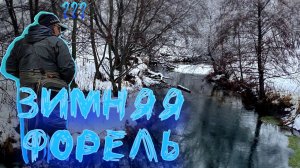 Зимняя форель