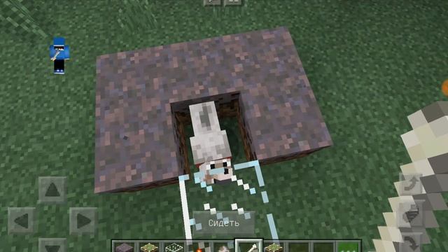 КАК СДЕЛАТЬ БУДКУ ДЛЯ СОБАКИ В МАЙНКРАФТ ПРОВЕРЯЕМ МАЙНХАКИ! | MINECRAFT смотреть онлайн