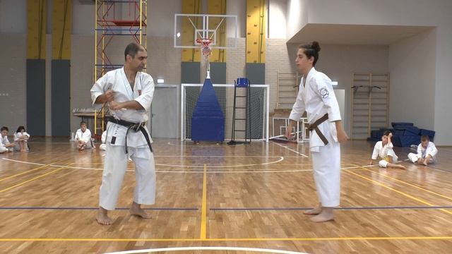 СК "БУДО" техника каратэ смотреть онлайн