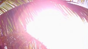 Riu Le Morne - All Inclusive (Adults Only) 4* - Рио Ле Морне - Маврикий | обзор отеля, территория