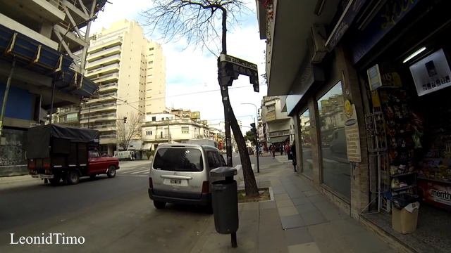 Реально ли встретить крупного хищника в Аргентине