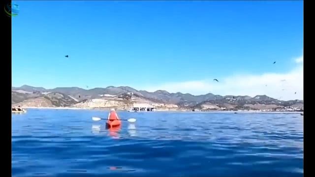 Whale swallows two Women in Kayak and then....... ? смотреть онлайн