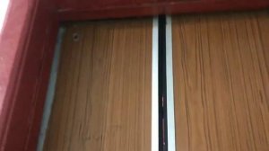 " Дизельный " Лифт МЛЗ Q=320кг, V=0,71м/с