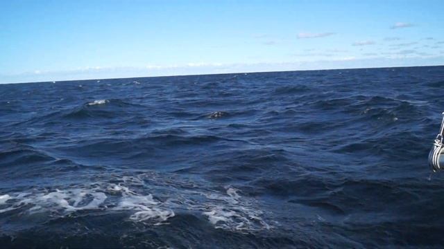 Через Балтику из Сандхамна в Юрмалу смотреть онлайн