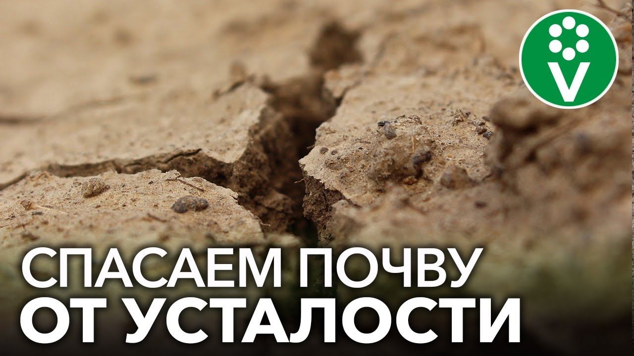 ЧТО ДЕЛАТЬ, ЕСЛИ ЗЕМЛЯ ИСТОЩЕНА? Боремся с почвоутомлением и повышаем урожайность