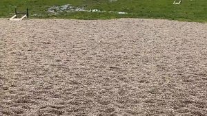 Ма-136-03 и Сайга мк-030 наконец готовый вариант