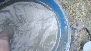 Как самому дёшево и сердито облагородить участок.