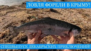 Ловля ФОРЕЛИ в Чёрном море и другие декабрьские приключения в Крыму - сбор рыжиков и ловля саргана!)