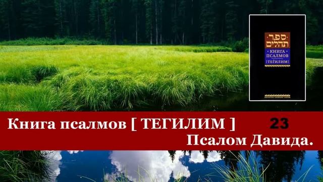 Господь - мой пастырь. Книга Теилим 23,  40 раз. Перевод на русский Меира Левинова, Псалом 22.