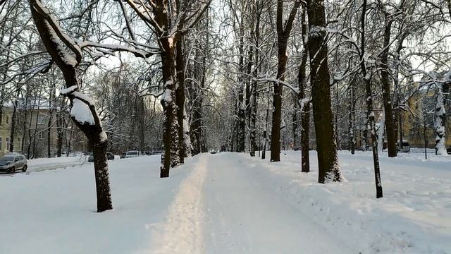 Детский парк зимой, Октябрьский и Софийский бульвары | Петербург, Царское село, январь 2022