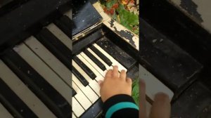 Обзор пианино Пенза на улице