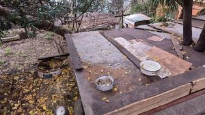 ГУРЗУФ - Лучший курорт для отдыхающих. Обязательно посмотри перед тем как ехать отдыхать в Гурзуф.