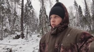 Меняем площадку в делянке! ТДТ 55 тащит будку на колёсах! Работа в лесу