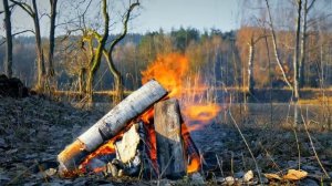 Музыка весеннего костра на берегу реки. Пение птиц для расслабления, сна, отдыха и релаксации.