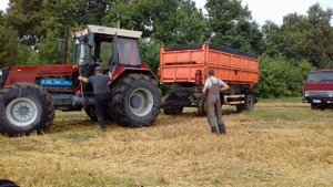 "БИЗОН" УБОРКА ПШЕНИЦЫ 2023г.