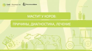 Мастит у коров: причины, диагностика, лечение