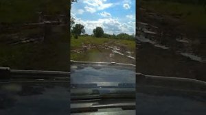 Покатушки Тюмень 2019