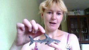 Черноперая рифовая акула из пластилина