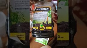огурец трюкач. обработка и полив.