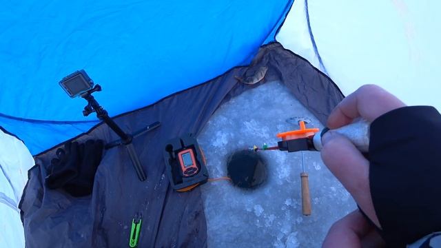 НЕ ЗРЯ ОСТАЛАСЬ НА ЭТОЙ ЛУНКИ!!! Окуни на мормышку. Рыбалка 2021. смотреть онлайн