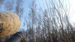 Отстрел ворОн ( crowhunting + хорор-бонус )