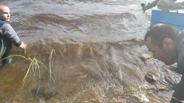 Моя первая Карелия Август 2022г! 6 Ночей в Тайге в Избе!!! Часть вторая! 2 смотреть онлайн