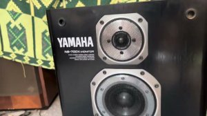 Yamaha ns 700x