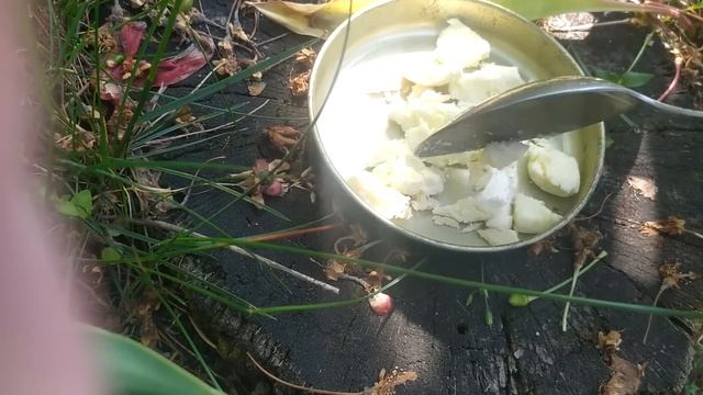 ЗА 1 РАЗ ИЗБАВИЛСЯ ОТ МУРАВЬЕВ НАВСЕГДА! Я В ШОКЕ, ЭТОТ СПОСОБ РАБОТАЕТ 100% смотреть онлайн