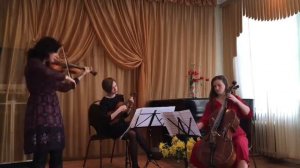Secret Garden - Serenade to Spring (by Capriccio Quartet)