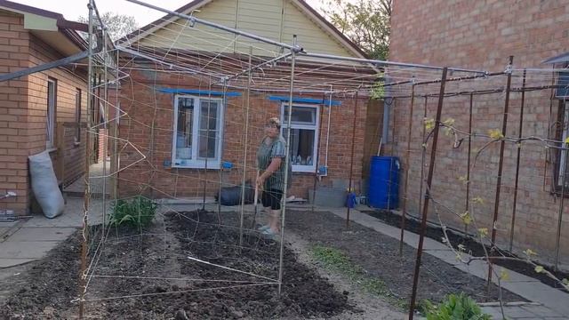 Ейск🌹Посадили АРАХИС И ОГУРЦЫ. Огородные работы 1 мая 2022...
