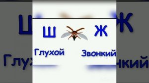 Русский язык. 1 класс. Звонкие и глухие согласные.